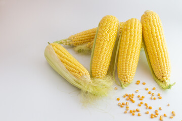 corn on white background
