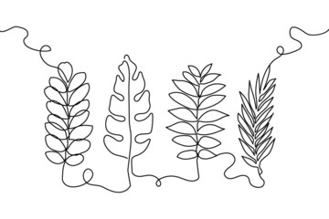 Exotic plants leaves continuous line drawing set. One line art of ficus branch, laurel, zamiokulkas, banana leaves, tropical leaves, jungle botanical.