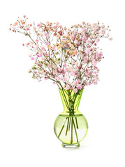 Vase with colorful gypsophila flowers on white background