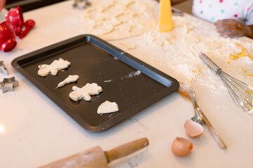 Obraz na płótnie Canvas Freshly prepared homemade cookies lying on tray ready for bake