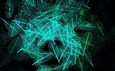 Dark Green vector abstract backdrop with leaves.