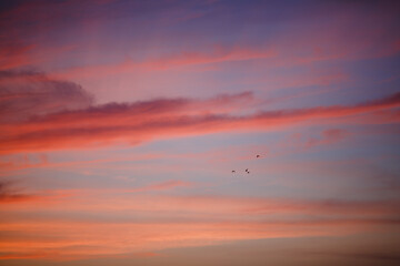 Red clouds after sunset. Beautiful sunset.