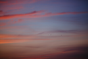 Red clouds after sunset. Beautiful sunset.