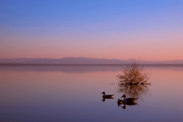 Calm Serene Scene on the Calm Salton Sea