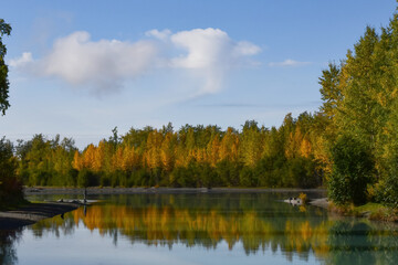 Fototapeta na wymiar Fall colors along Alaska's Knik River on a beautiful autumn morning.