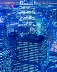 Obraz premium View of New York Manhattan during sunset hours