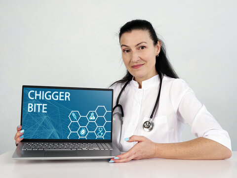  CHIGGER BITE text in menu. Doctor looking for something at laptop