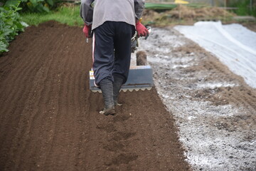 Agricultural work scenery. A scene of cultivating a field with a cultivator. 