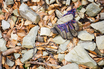 Discarded work glove between stones and beech leaves.