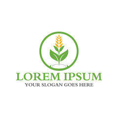 agriculture logo , nature logo vector
