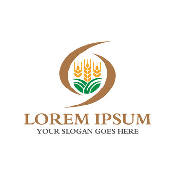 grain logo , agriculture logo vector