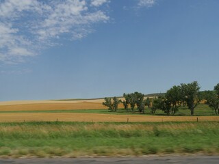 Fototapeta na wymiar Scenic roadside view of flat farmlands and young trees growing along the road in South Dakota.