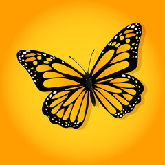 Bright butterfly on a colored background