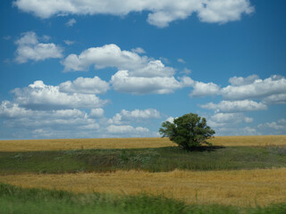 Fototapeta na wymiar Beautiful landscape and countryside in Nebraska along High Way 183, with a small tree.