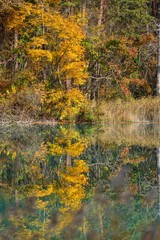 弁天沼で見た黄葉の映り込み情景＠五色沼、福島