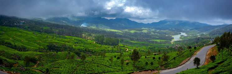 Fototapeta na wymiar Munnar Tea plantation. Best Tea plants In Munnar, Kerala, India.