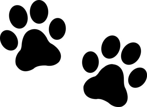 Dog and cat paw print vector icon.eps