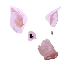 pink pig face illustration