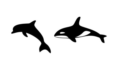 dolphin and orca whale vector design
