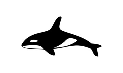 orca fish, killer whale vector