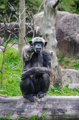 Take my hand, friend!