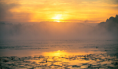 sunset over the sea