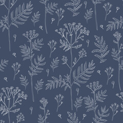 Seamless pattern Tansy flower or Tanacetum vulgare vector illustration isolated on blue backdrop, ink sketch, decorative herbal background for design medicine, wedding invite, greeting card, cosmetics