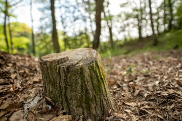 茨城県城里町キャンプ