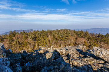 View from above. Autumn forest in the Primorsky Territory. View of the top of Mokrusha mountain. Coniferous trees grow on the top of a high mountain.