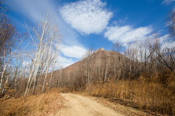 View from above. Autumn forest in the Primorsky Territory. View of the top of the Sakharnaya Mountain. A high rock against the backdrop of a dry forest.