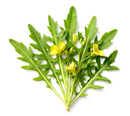 fresh rocket leaves with flowers isolated on white background, top view