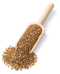 uncooked buckwheat in the wooden scoop, isolated on the white background