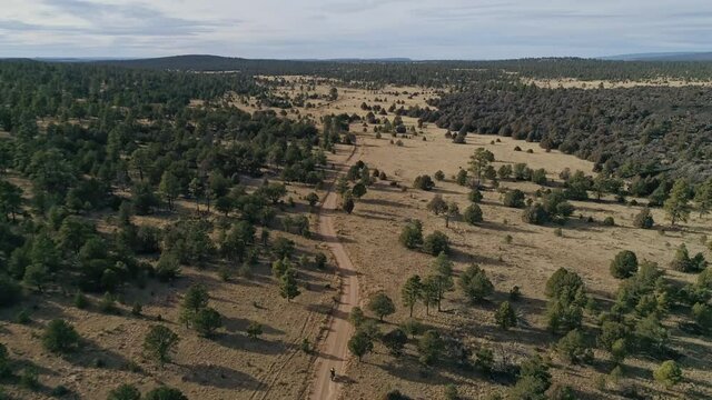 4K aerial as motorcycle speeds down remote dirt road in desert forest