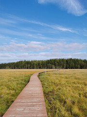 A deck of brown planks over a swamp with yellowed grass, stretching far away to the forest, against the background of a sky with clouds.