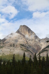 Top Of Mount Wilson, Banff National Park, Alberta