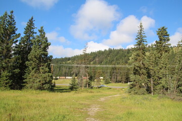 Fototapeta na wymiar End Of The Trail, Jasper National Park, Alberta