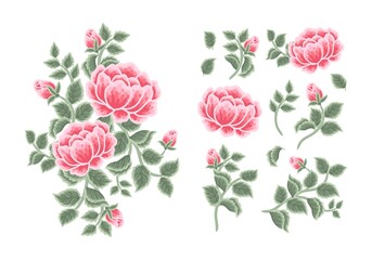 Set of vintage rose, peony flower, leaf branch, feminine floral bouquet arrangements