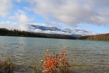 Majestic Lake, Jasper National Park, Alberta