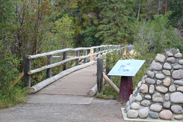 Path On The Bridge, Jasper National Park, Alberta