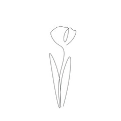 Spring flower line drawing vector illustration