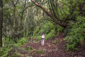Girl walking on trail of dry leaves