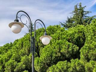 Street lamps in the daytime against the background of coniferous trees and blue sky