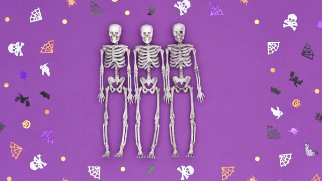 Halloween or l Dia de Muertos stop motion video 4K. Three skeletons roll over a purple background decorated with confetti in the shape of skulls, spider webs, spiders, witches, pumpkins and bats. 