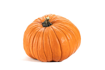 One orange color pumpkin with stem isolated over white background