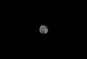 Moon on a dark night