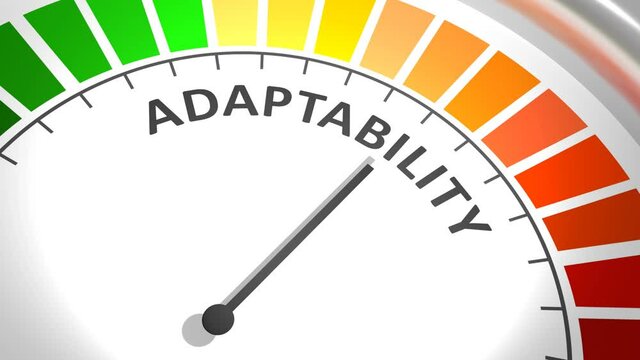 Concept of human adaptability , development of personal qualities.