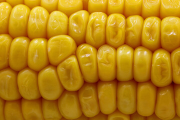 close-up boiled corn on the cob