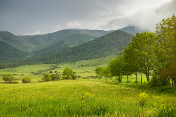 Idyllic and peaceful landscape in the countryside. Lush grass in the foreground and misty mountains in the distance as a background