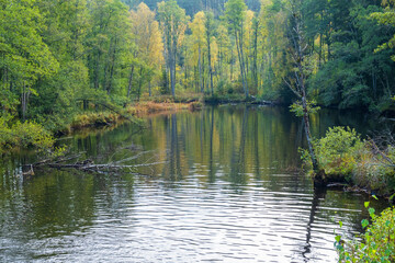 Lake with autumn colors in the deciduous forest