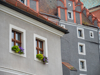 Obraz premium Windows of old houses with flowers in Germany